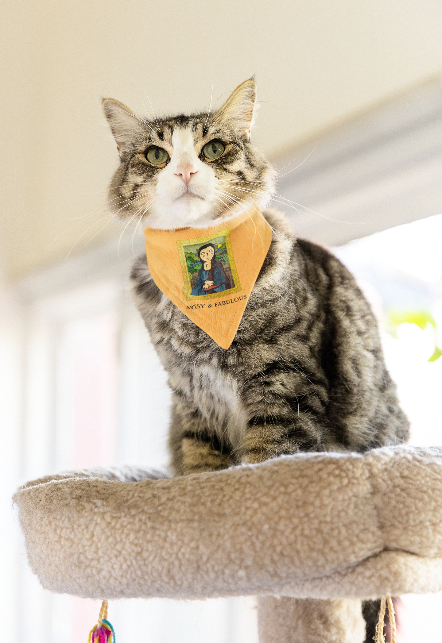 🖼️ The Meow-na Lisa Design in Black DTF Transfer FT432