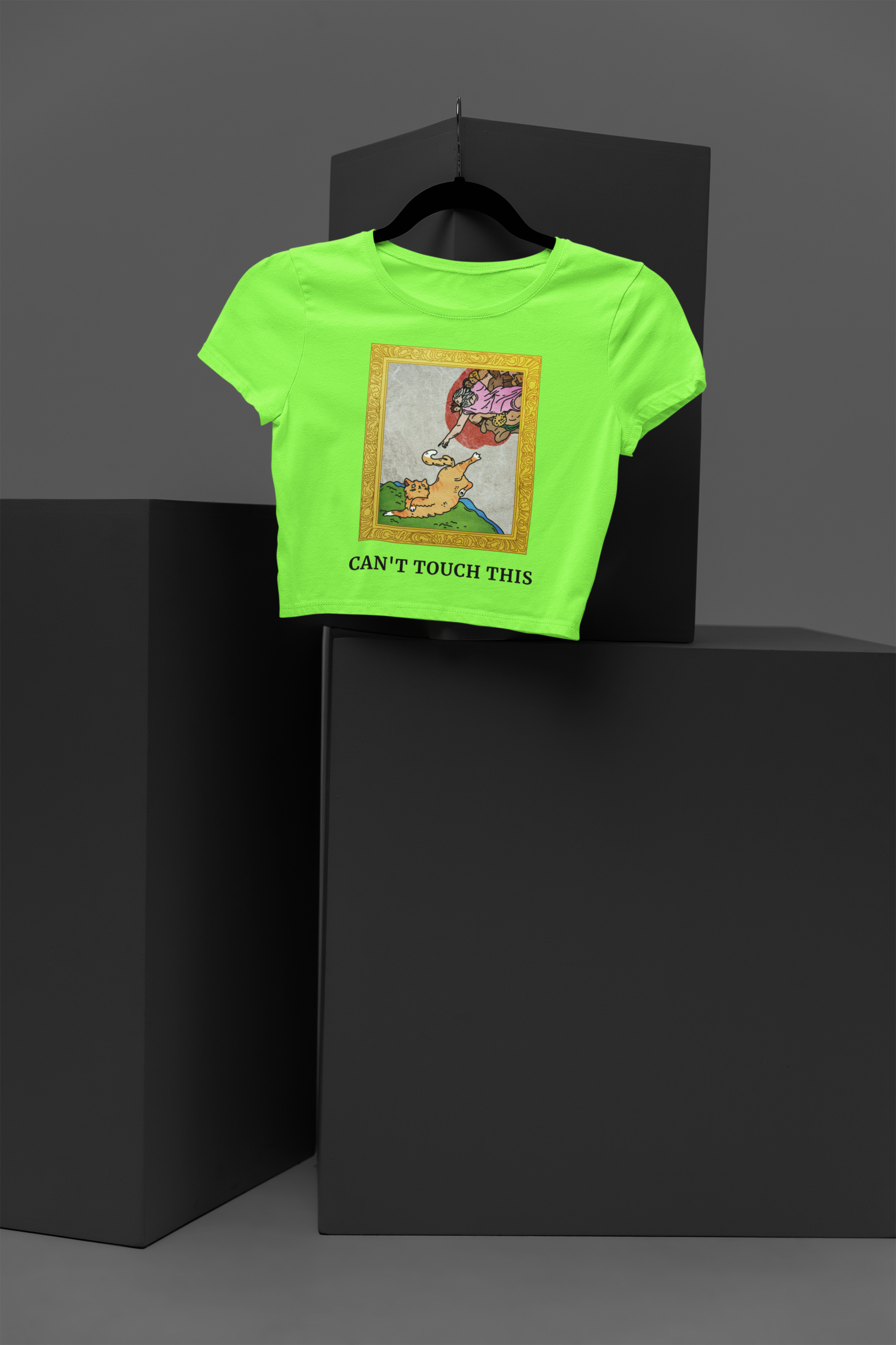 🖼️ The Creation of Cat Design DTF Transfer FT428