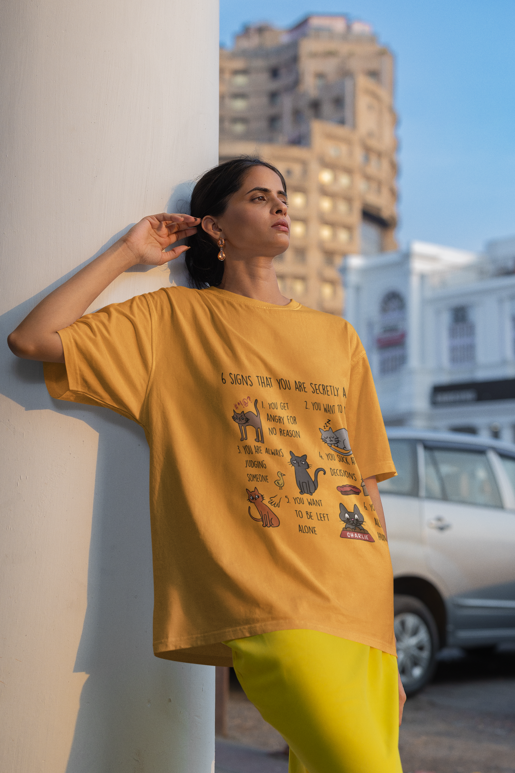 🐾😹 6 Signs That You Are Secretly a Cat Black Design DTF Transfer FT280