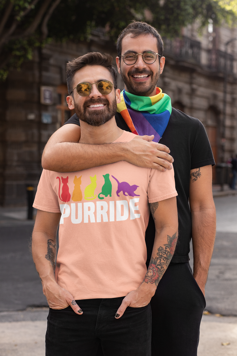 🌈 Purride FT122